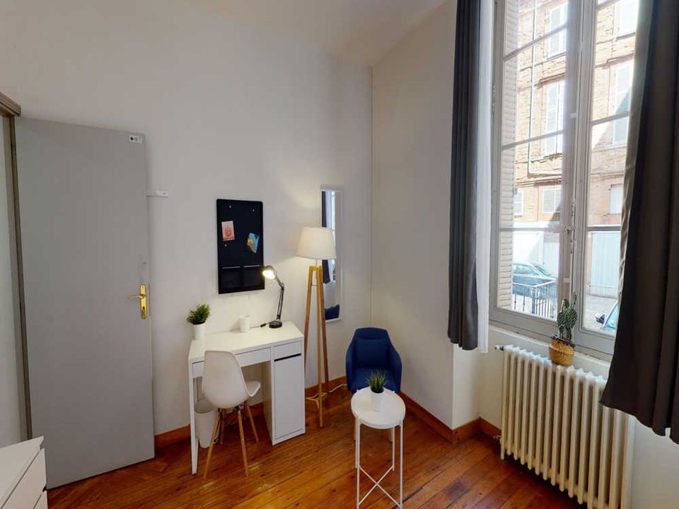 Apartment in Toulouse, Haute-Garonne - photo 4