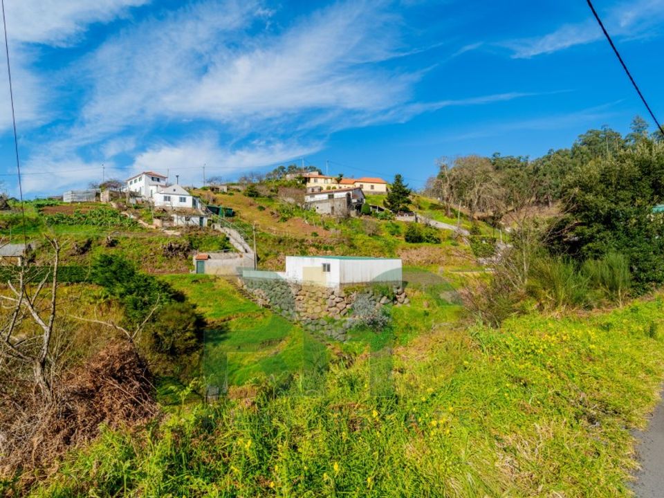 Helårsgrund i Camacha, Madeira - foto 3