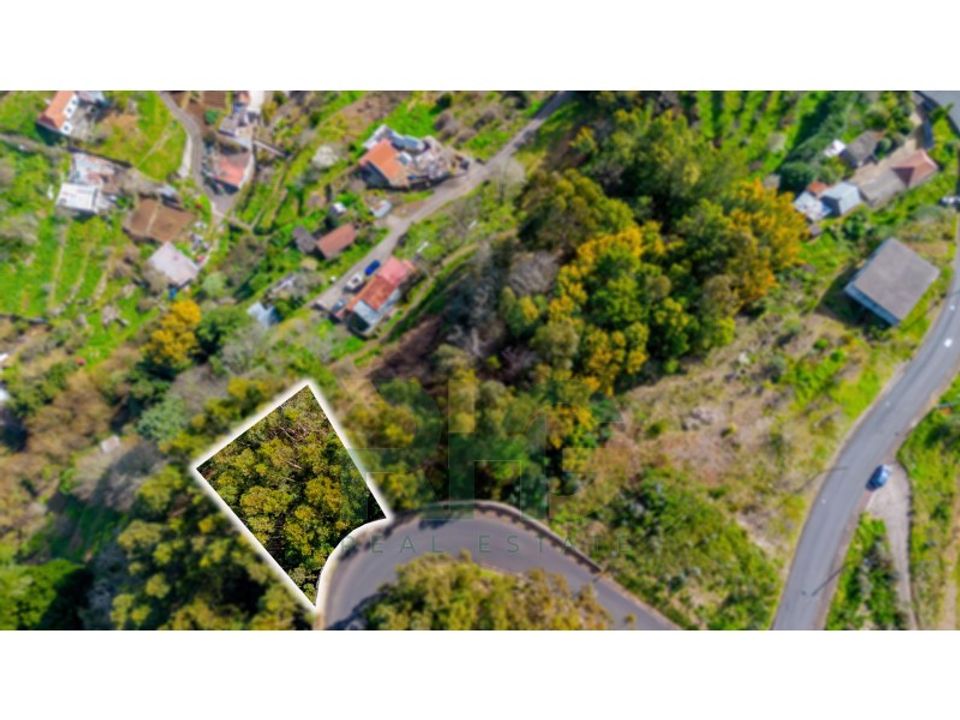 Helårsgrund i Camacha, Madeira - foto 1