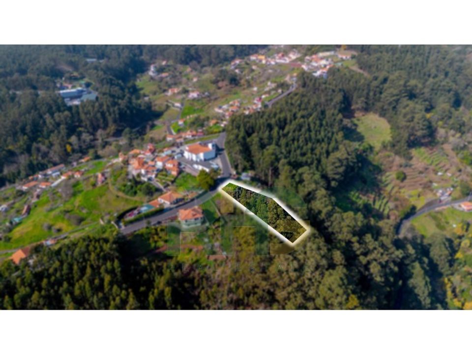 Helårsgrund i Camacha, Madeira - foto 1