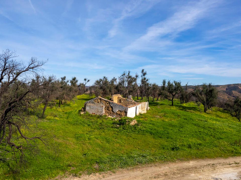Farm i Aljezur, Faro - foto 1