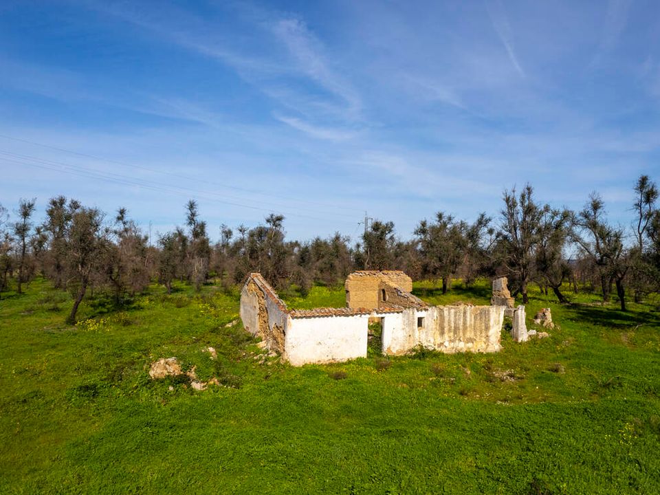 Farm i Aljezur, Faro - foto 2
