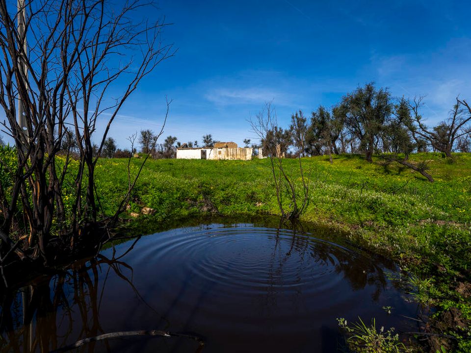 Farm i Aljezur, Faro - foto 5
