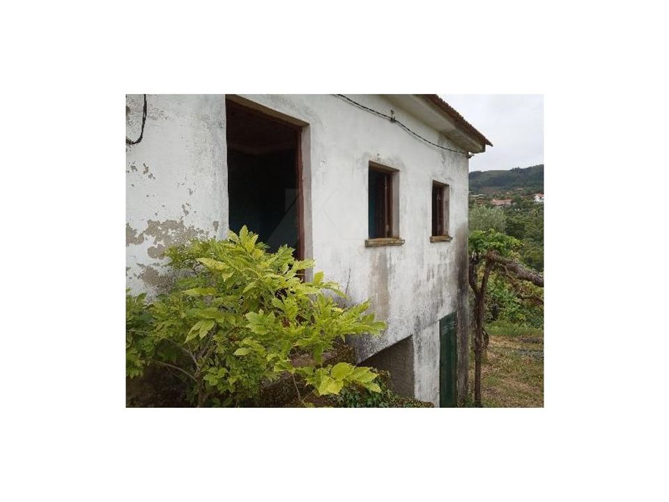 Farm i Gondufe, Viana do Castelo - foto 3
