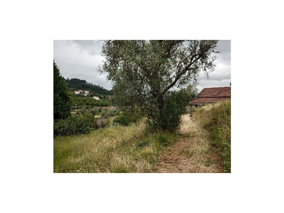 Farm i Gondufe, Viana do Castelo - foto 5