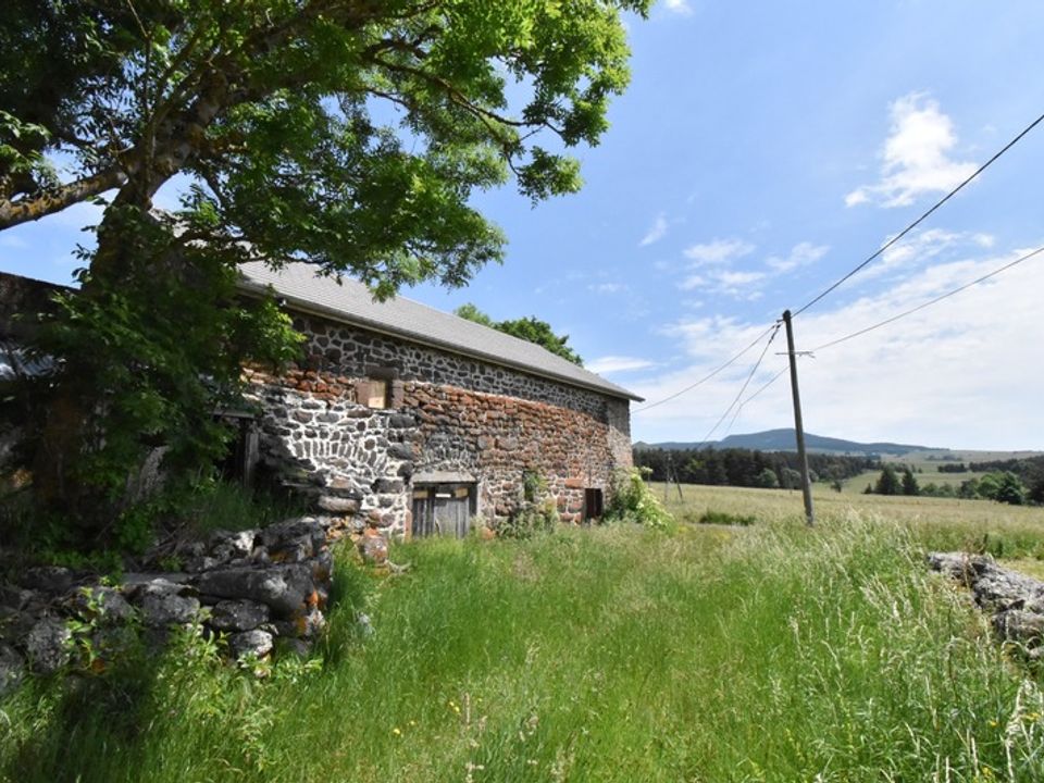 Landejendom i Saint-Front, Haute-Loire - foto 1