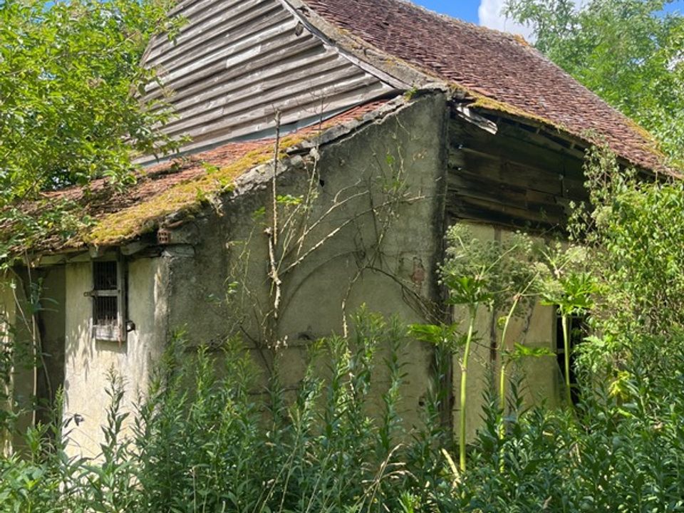 Villa i Ouzouer-sous-Bellegarde, Loiret - foto 3