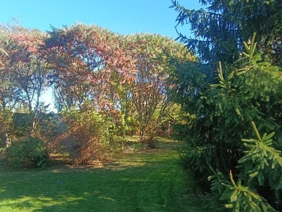 Herregård i Limeyrat, Dordogne - bilde 3