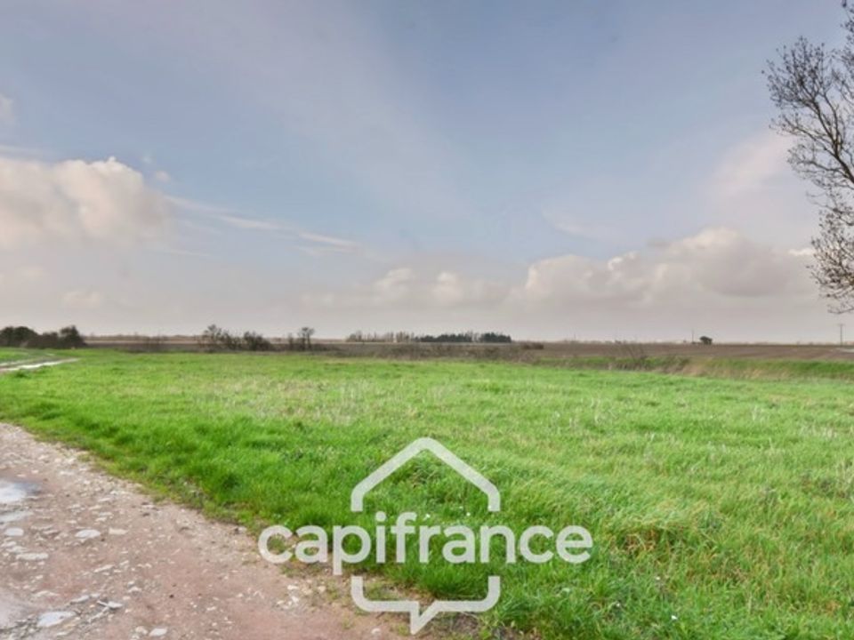 Farm hus i Nuaille-d'Aunis, Charente-Maritime - foto 4