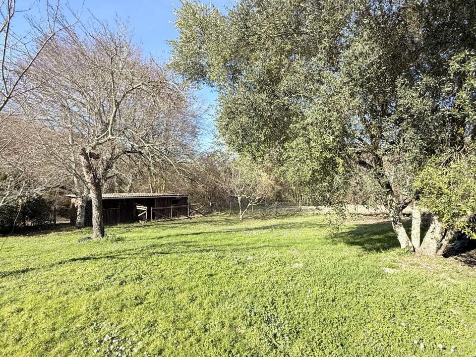 Villa i Aubeterre-sur-Dronne, Charente - foto 4
