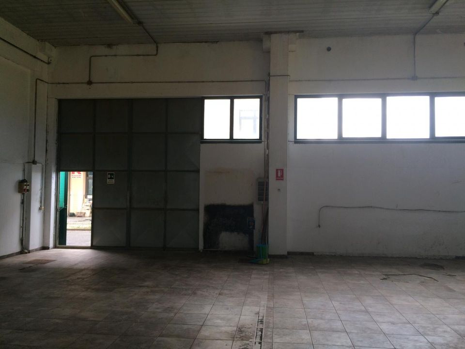 L'establiment comercial a San Giuliano Terme, Pisa - foto 5