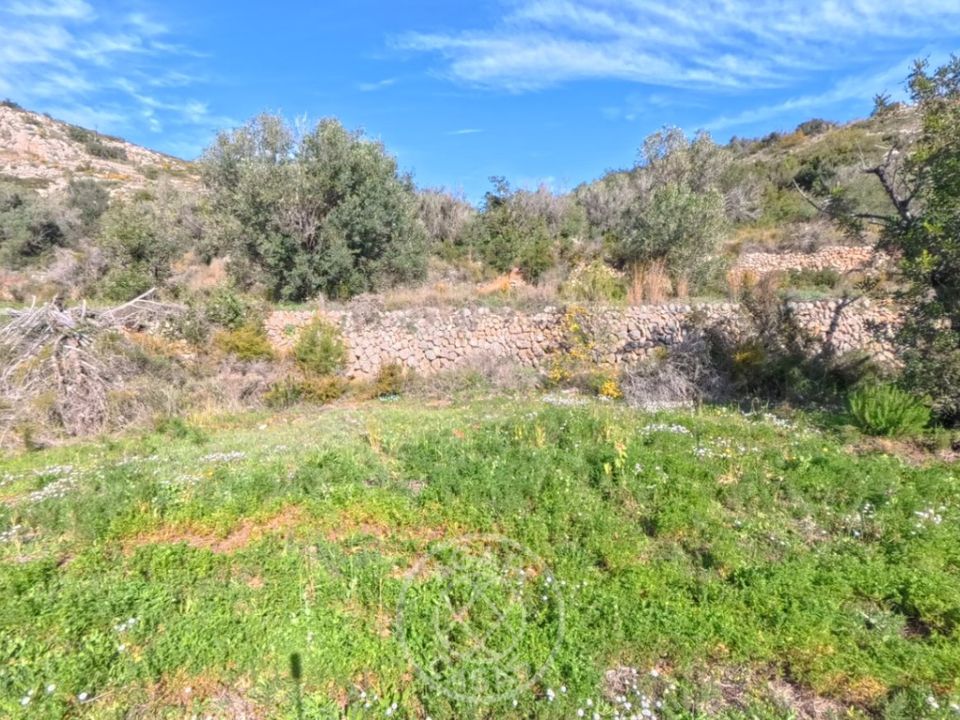 Działka: Tarbena, Alicante – zdjęcie 3