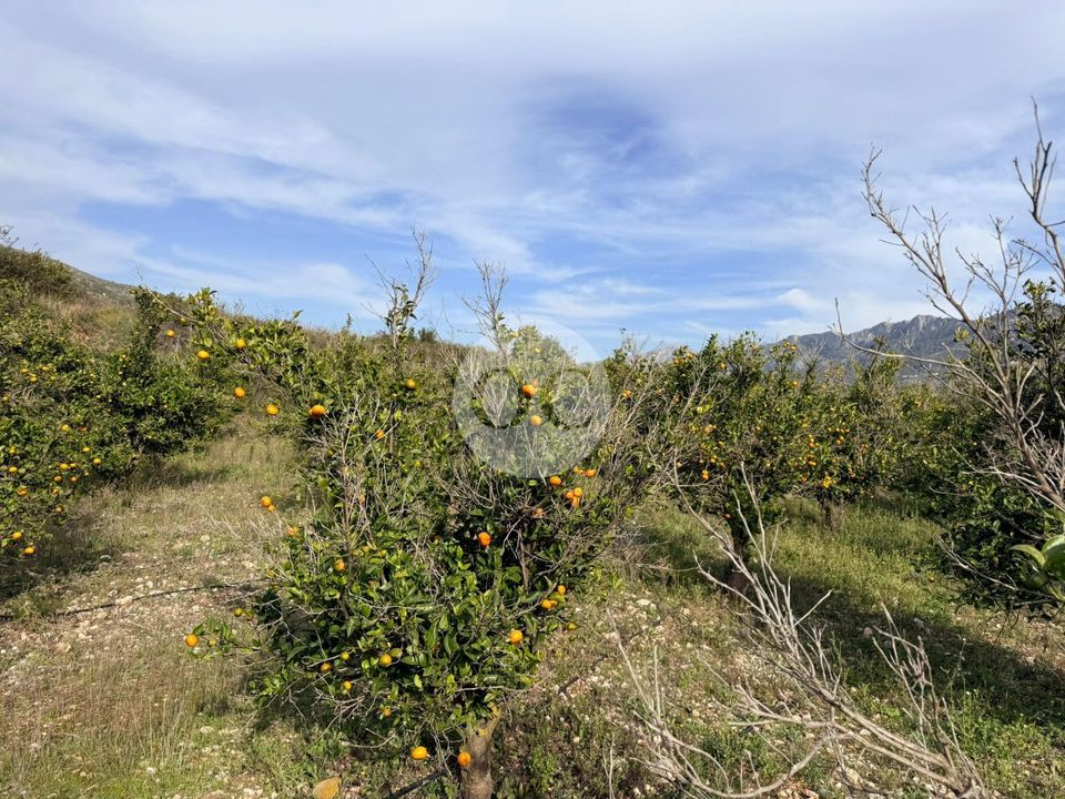 Helårsgrund i Vall De Gallinera, Alicante - foto 3