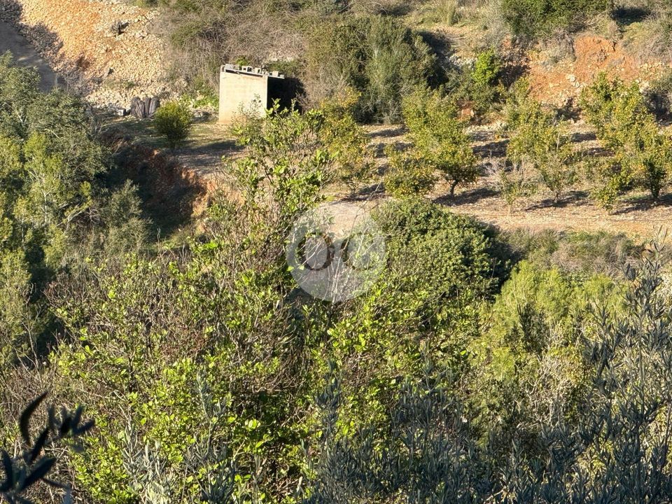 Helårsgrund i Vall De Gallinera, Alicante - foto 5