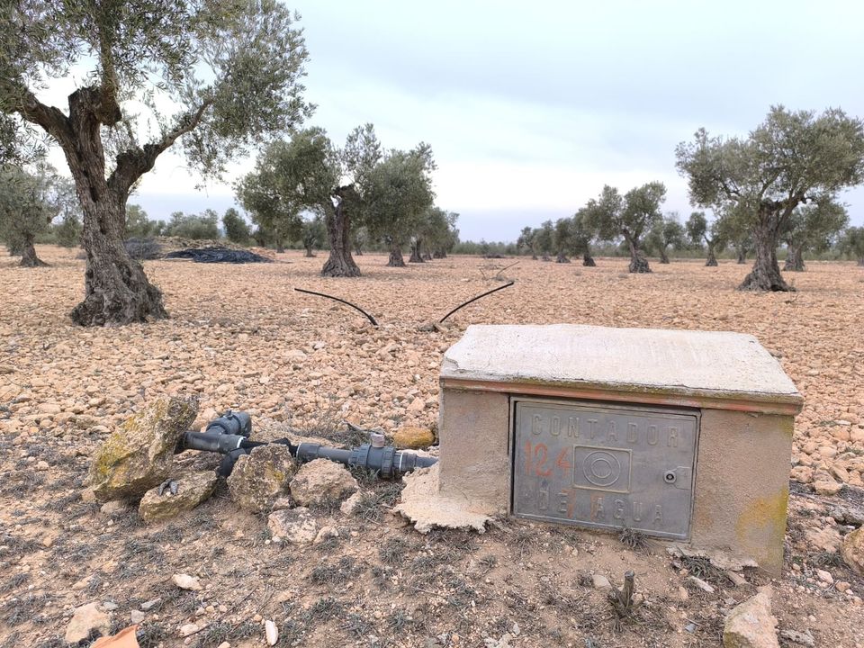 Helårsgrund i Yecla, Murcia - foto 1