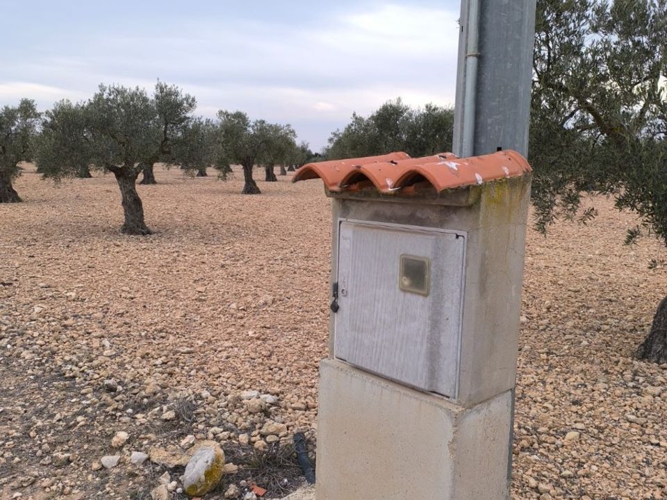 Helårsgrund i Yecla, Murcia - foto 3