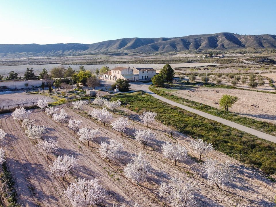 Landejendom i Jumilla, Murcia - foto 2