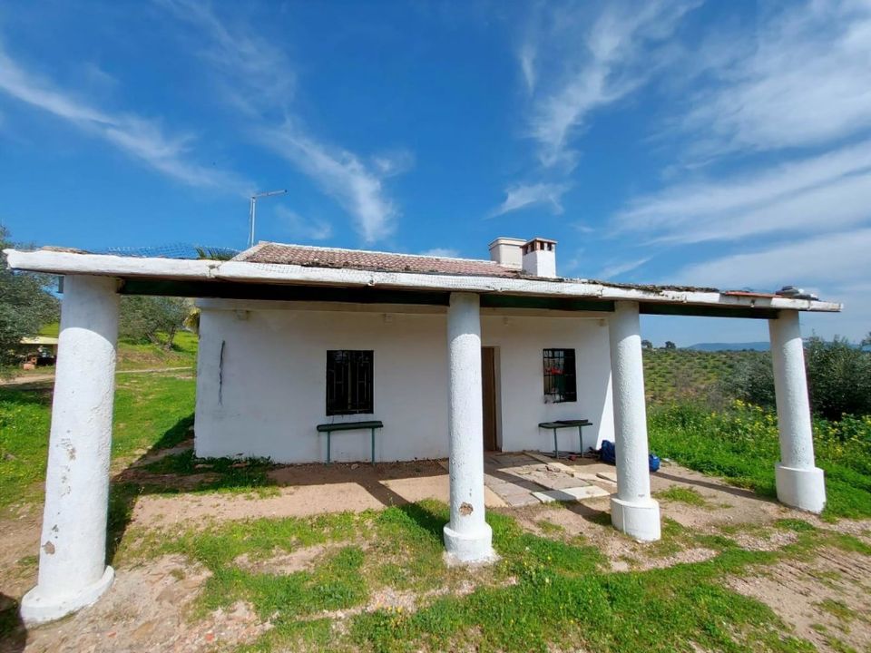 Landejendom i Montoro, Cordoba - foto 1