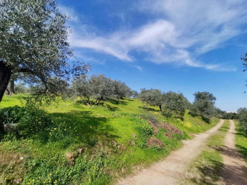 Landejendom i Montoro, Cordoba - foto 5