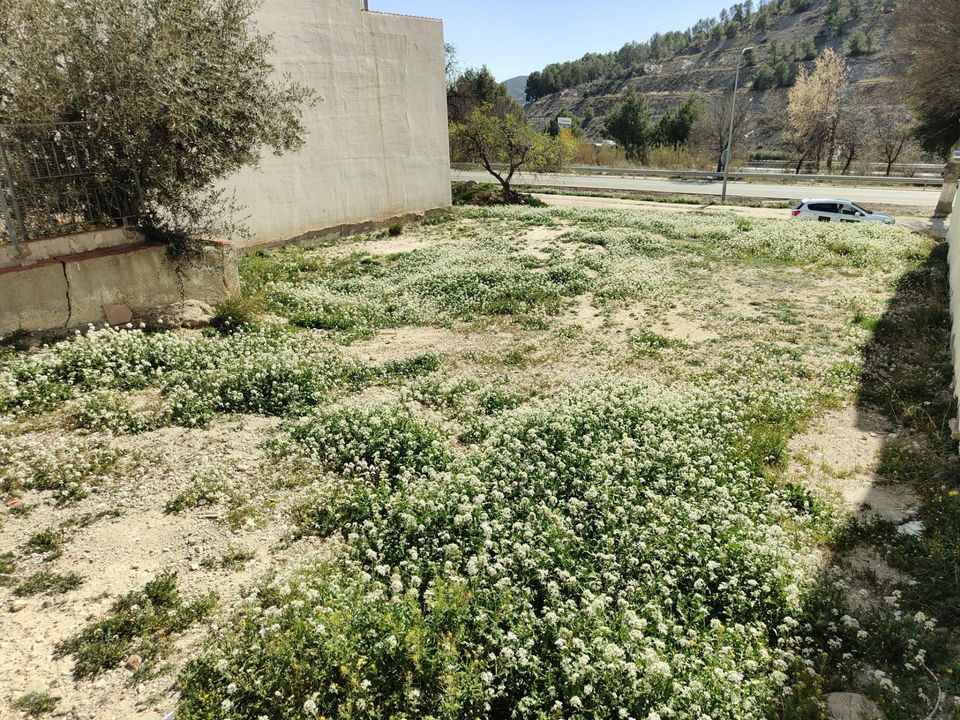Helårsgrund i Velez-Rubio, Almeria - foto 1