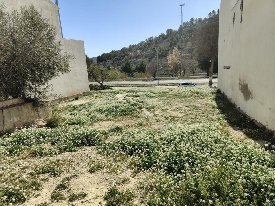 Helårsgrund i Velez-Rubio, Almeria - foto 2