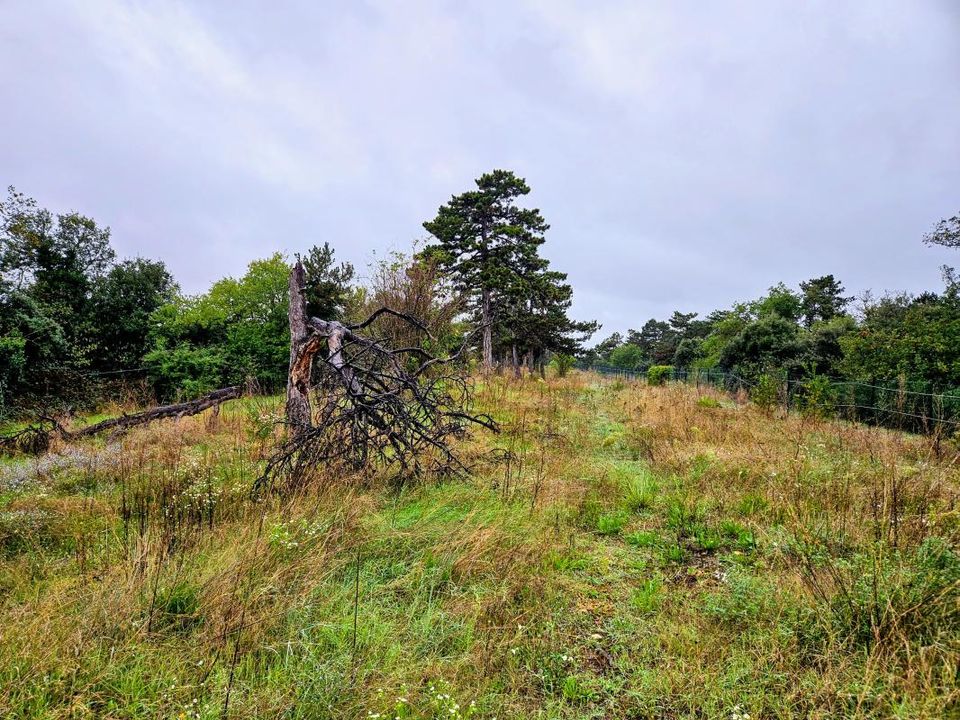 Villa i Montelier, Drome - foto 3