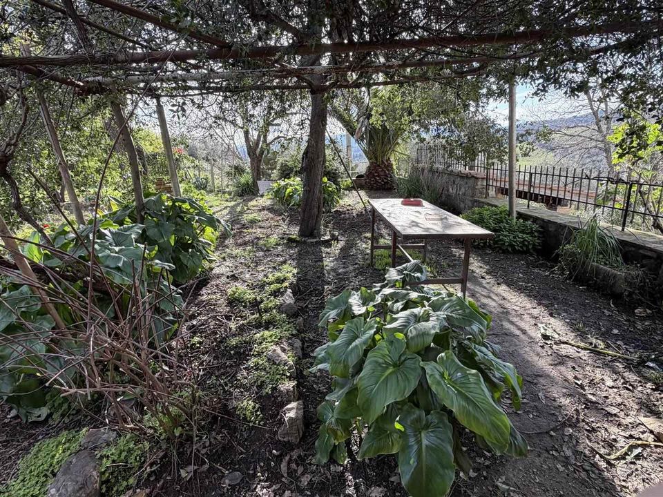 Farm hus i Roccastrada, Grosseto - foto 2
