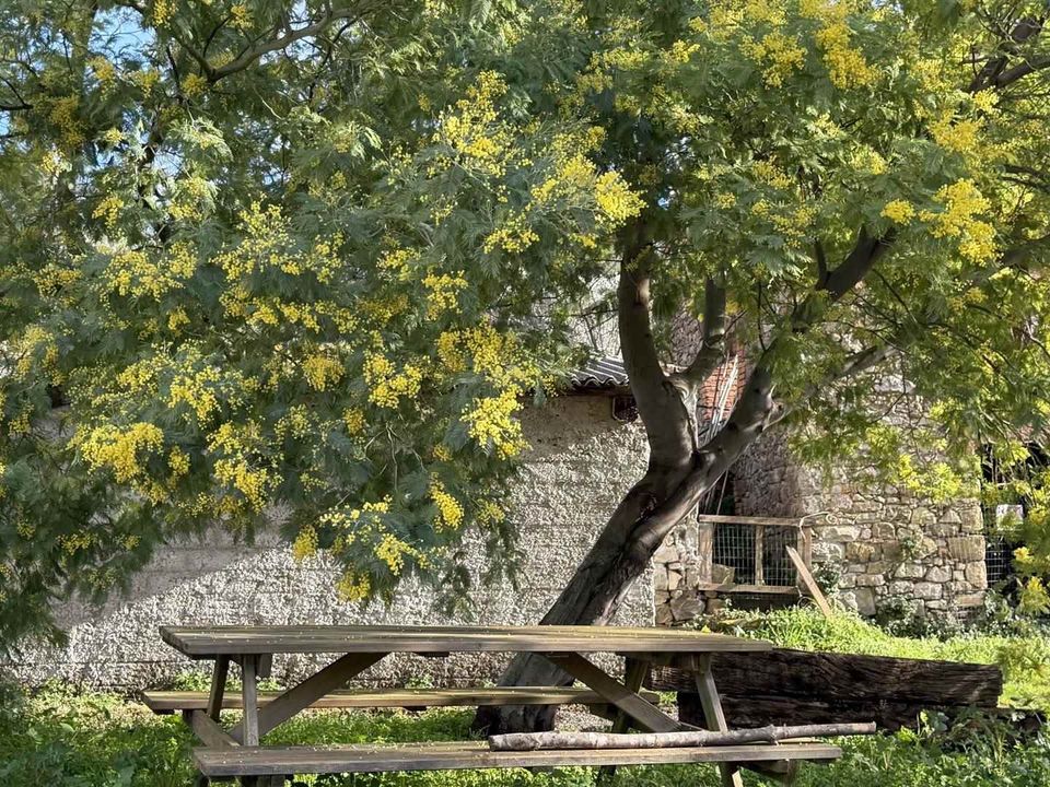Farm hus i Roccastrada, Grosseto - foto 3