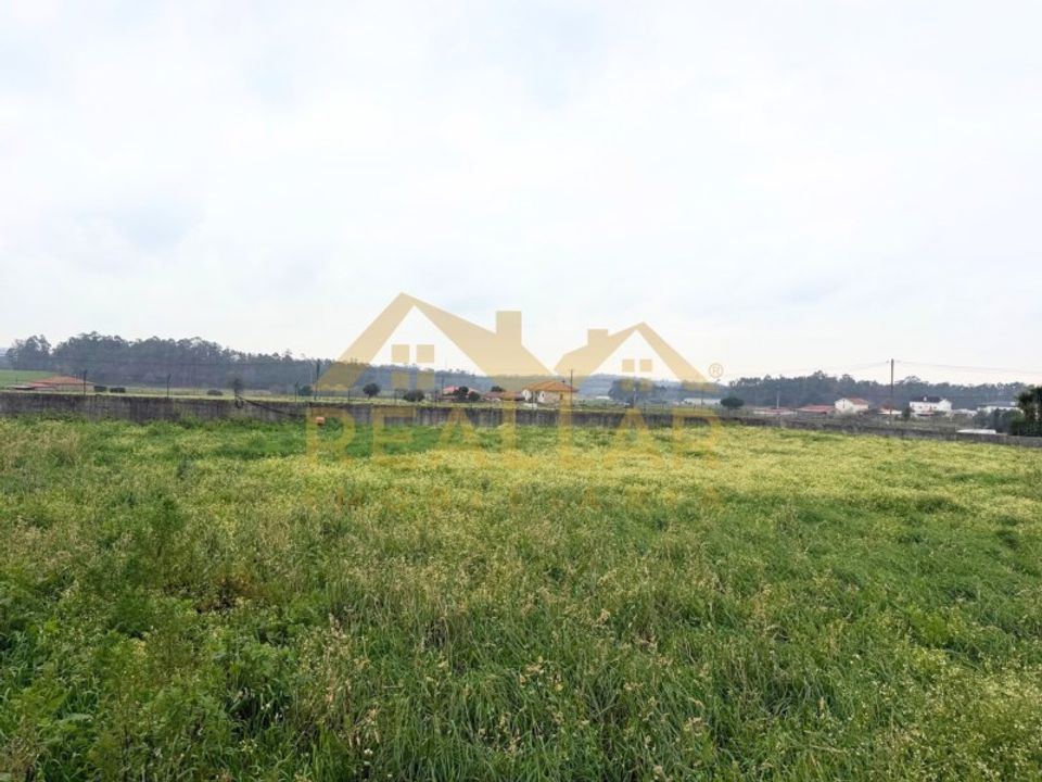 Helårsgrund i Barcelos, Braga - foto 2