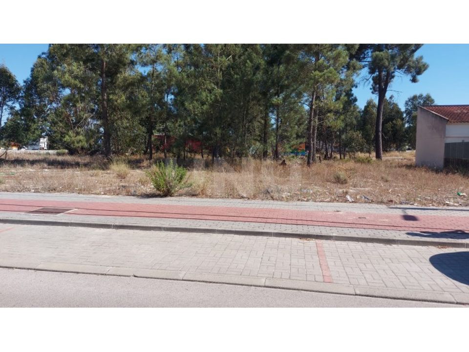Helårsgrund i Quinta do Anjo, Setubal - foto 5