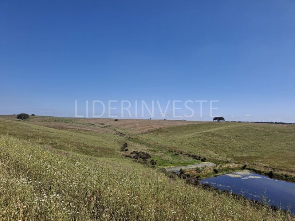 Landejendom i Penedo Gordo, Beja - foto 3