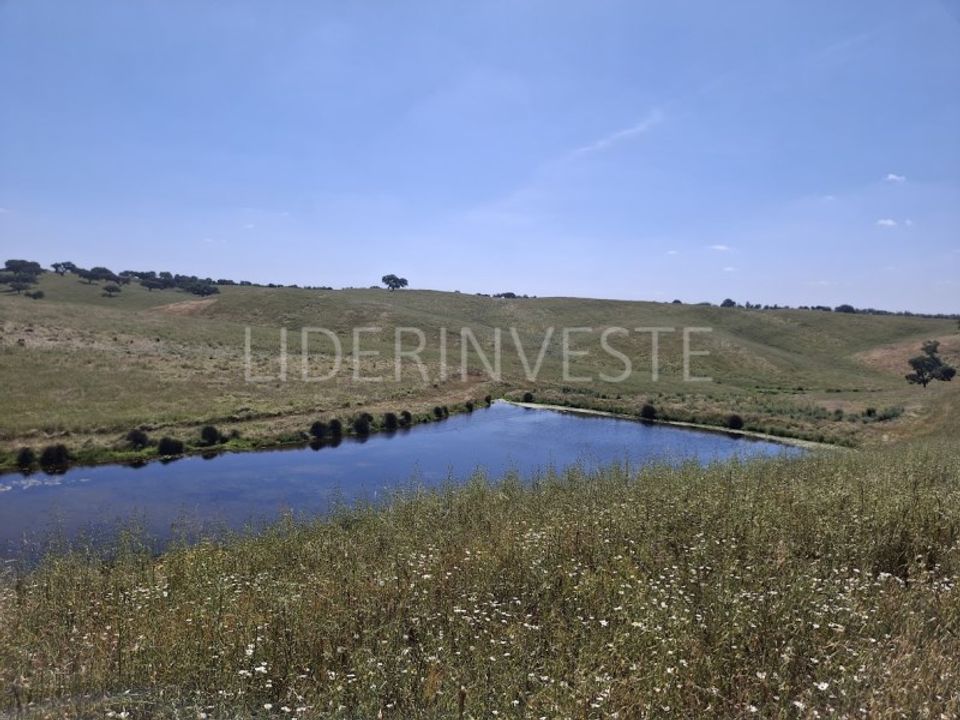 Landejendom i Penedo Gordo, Beja - foto 2