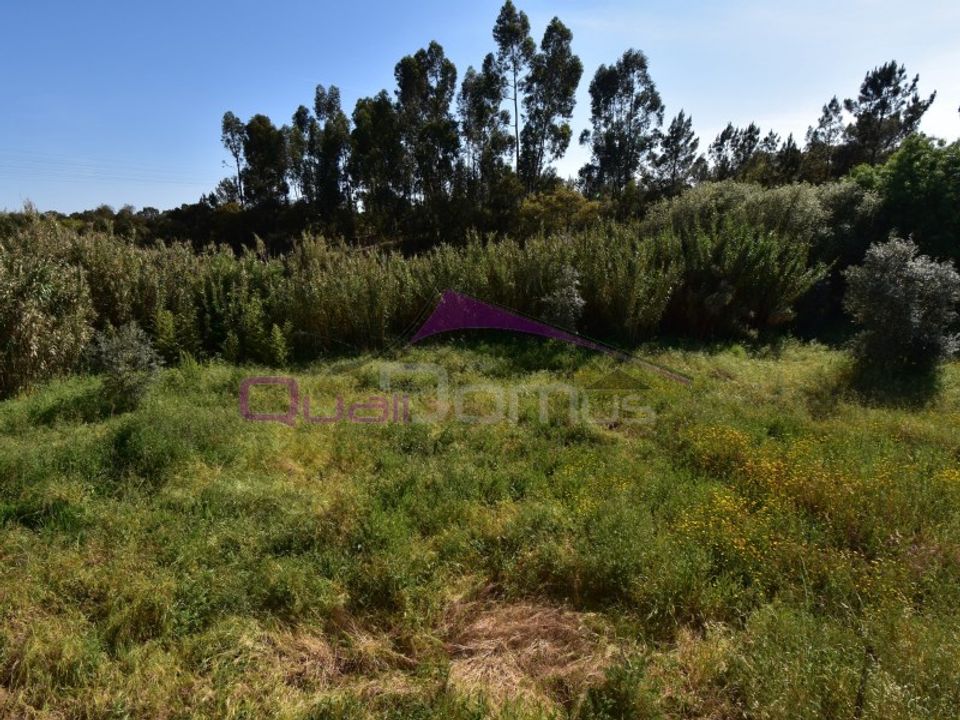 Villa i Vila Nova da Barquinha, Santarem - foto 3