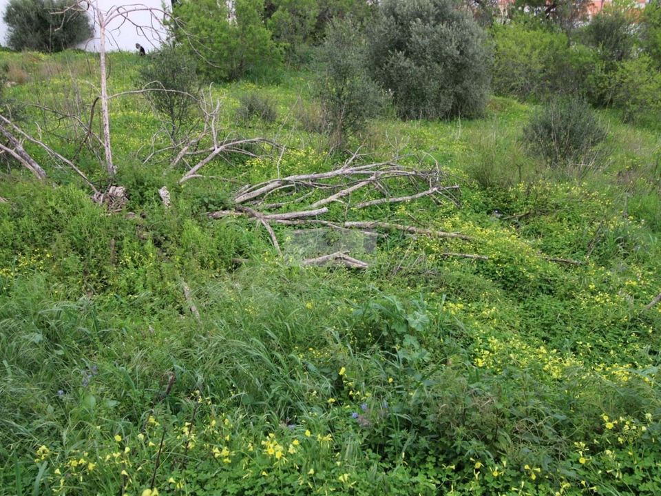 Helårsgrund i Lagos, Faro - foto 3