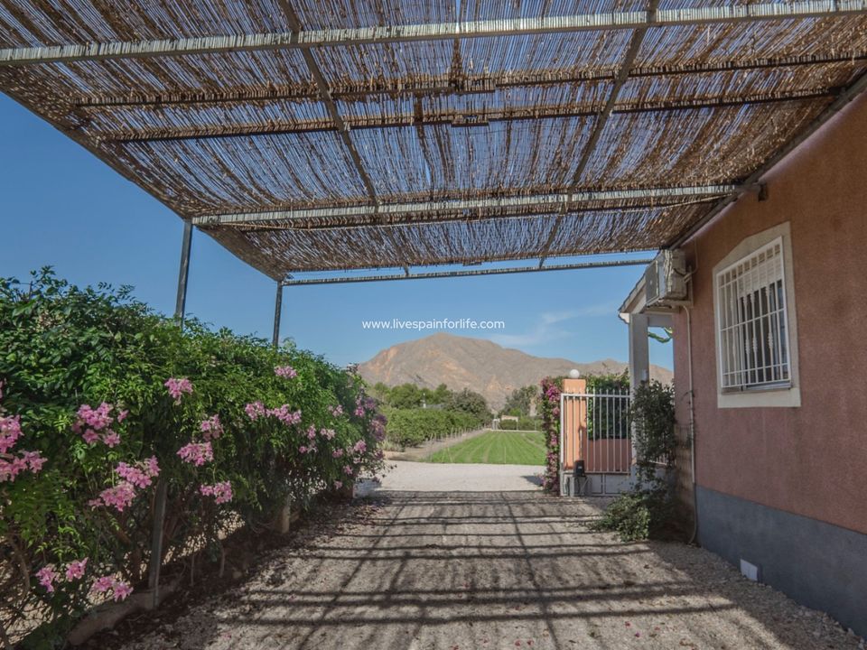 Landejendom i Orihuela, Alicante - foto 4