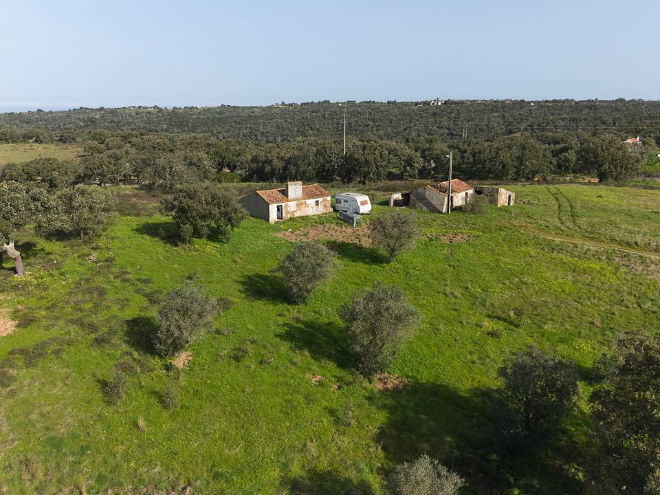 Farm i Santiago do Cacem, Setubal - foto 3