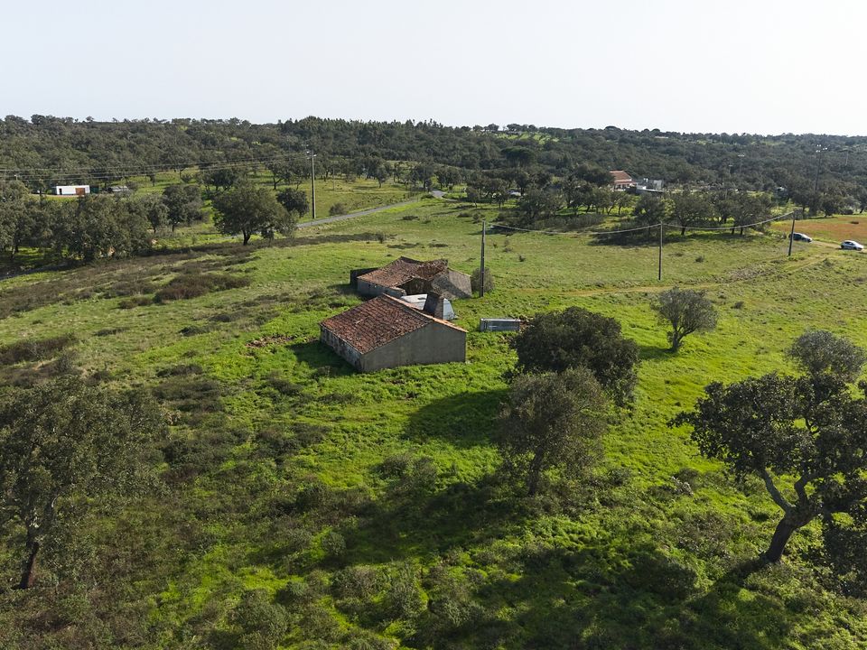 Farm i Santiago do Cacem, Setubal - foto 4