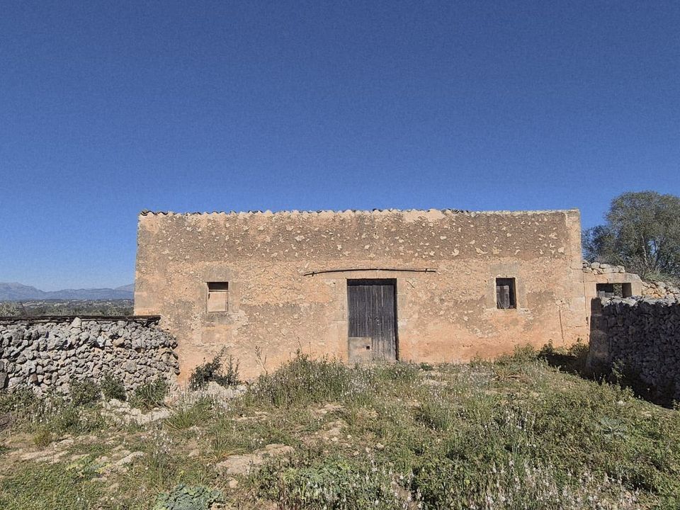 Helårsgrund i Ariany, Mallorca - foto 1