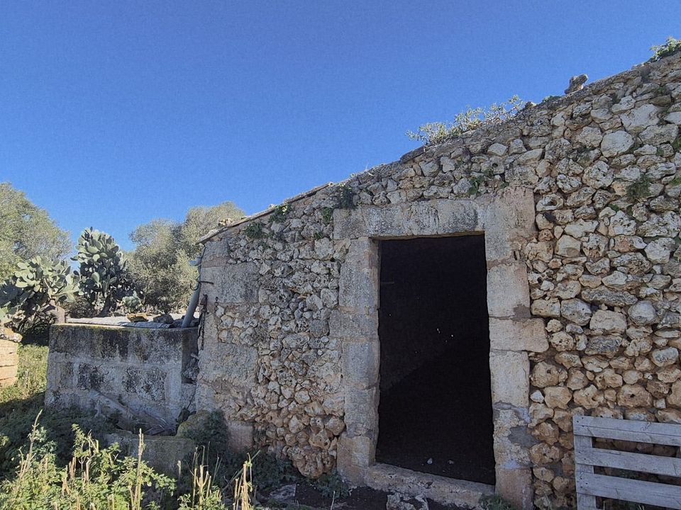 Helårsgrund i Ariany, Mallorca - foto 2
