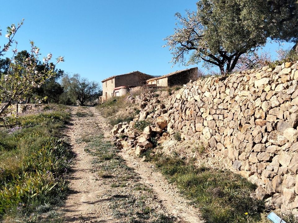 Helårsgrund i Relleu, Alicante - foto 1