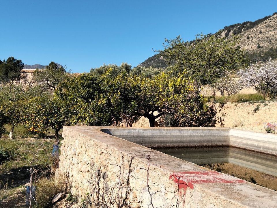 Helårsgrund i Relleu, Alicante - foto 4