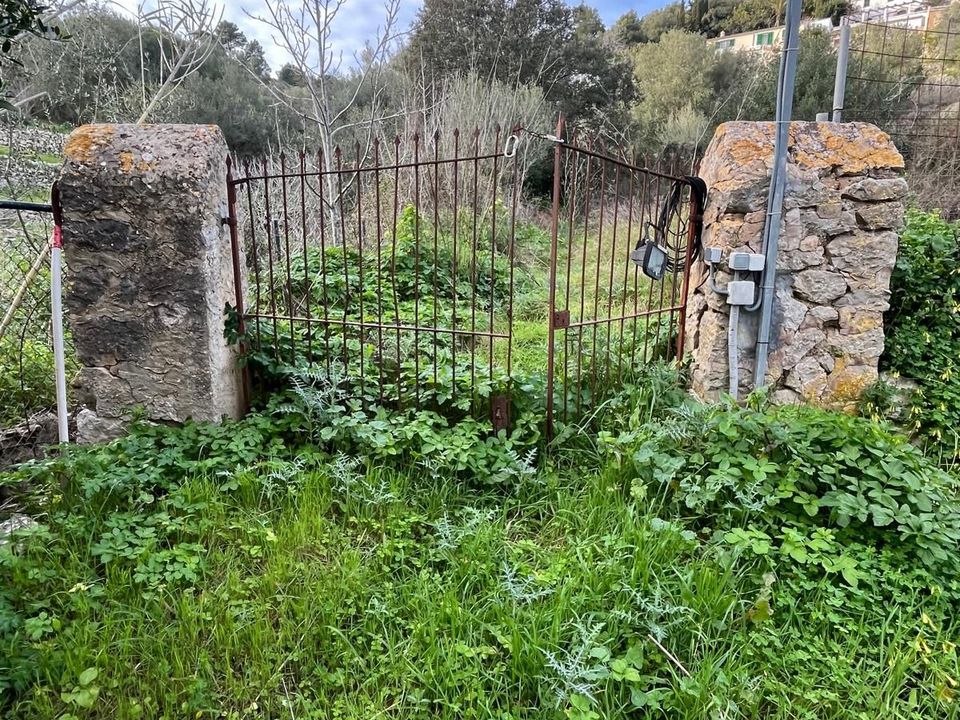 Helårsgrund i Puigpunyent, Mallorca - foto 3