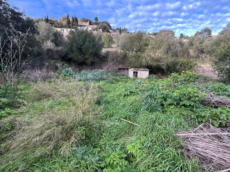 Helårsgrund i Puigpunyent, Mallorca - foto 2