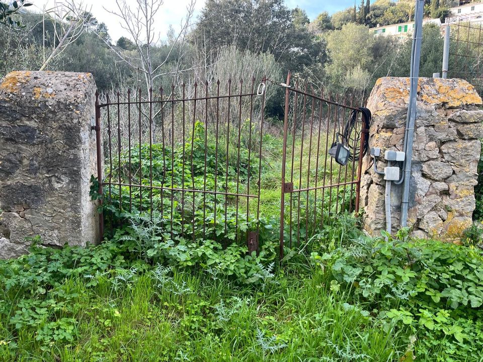 Helårsgrund i Puigpunyent, Mallorca - foto 1