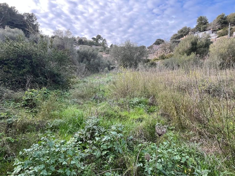 Helårsgrund i Puigpunyent, Mallorca - foto 5