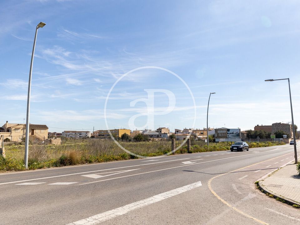 Terra a Campos, Mallorca - foto 2