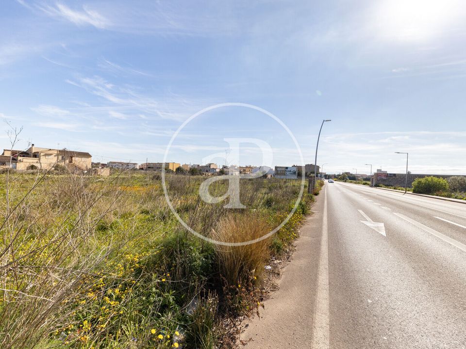 Terra a Campos, Mallorca - foto 4