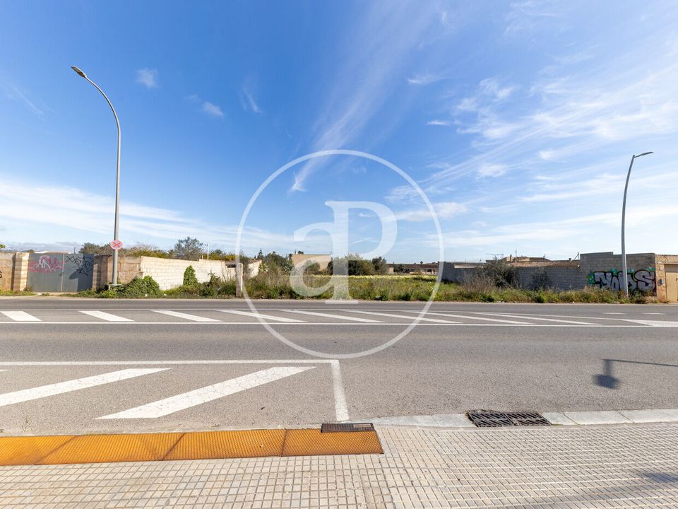 Helårsgrund i Campos, Mallorca - foto 3