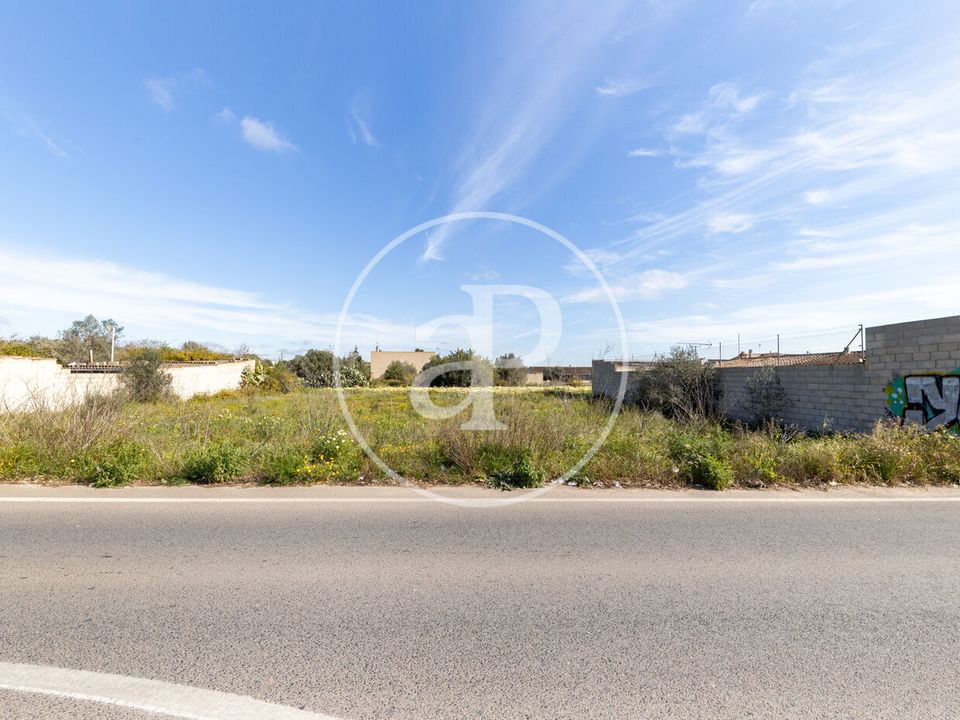 Helårsgrund i Campos, Mallorca - foto 4