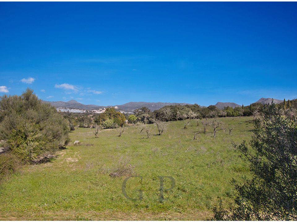 Helårsgrund i Arta, Mallorca - foto 4
